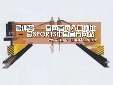 产品名称十七